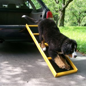 Easy-Hopper Hunderampe Standard imprägniert mit Feinriefengummimatte