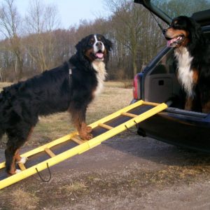 Easy-Hopper Hunderampe Komfort imprägniert mit Feinriefengummimatte
