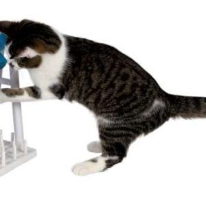 Trixie Cat Activity Turn Around