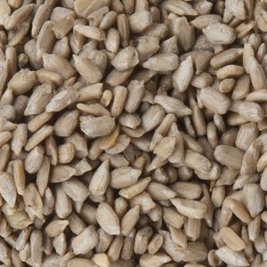 Pfiffikus Sonnenbl.schalenlos 10kg