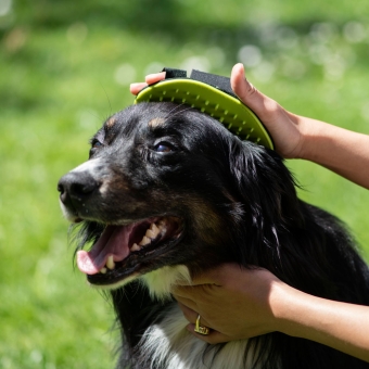 PROCYON Waschhandschuh – Bild 6