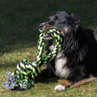 PROCYON XXL-Kauseil - 2 Knoten / 50 cm – Bild 6