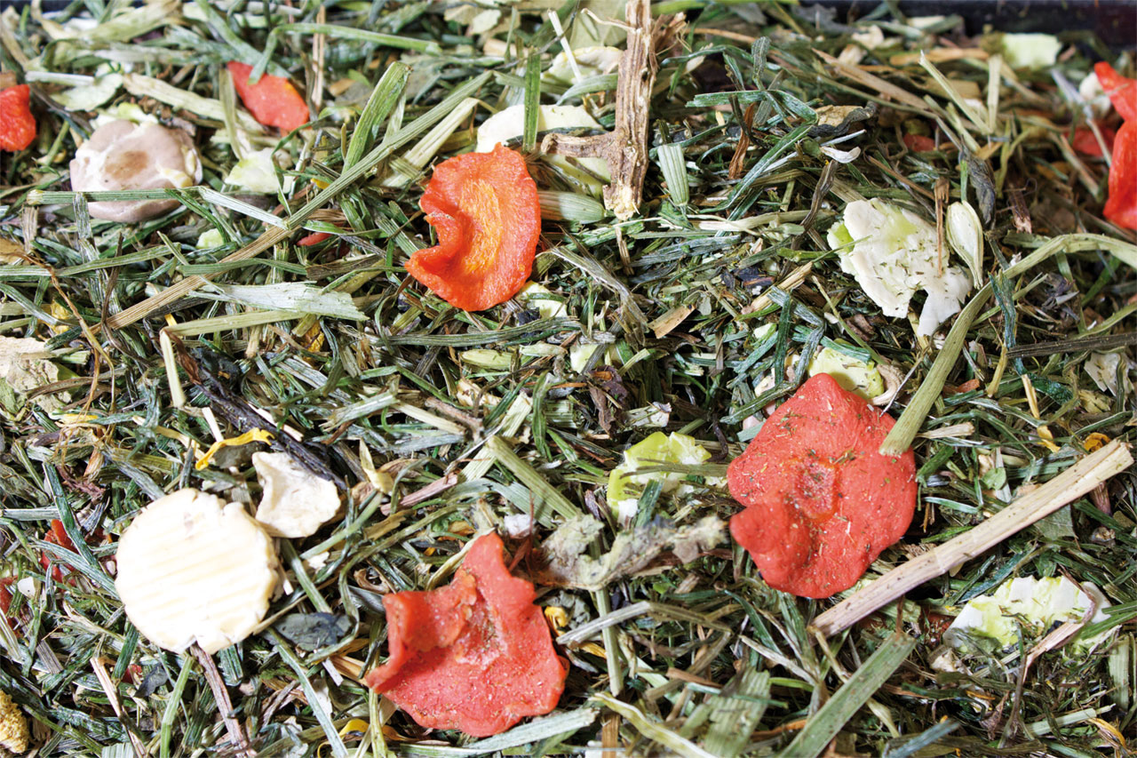 JR Grainless Herbs Meerschwein5kg