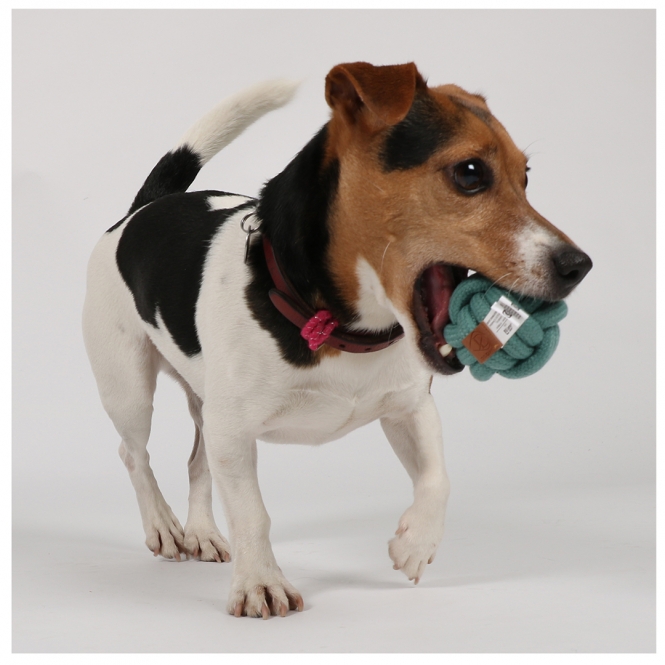 D&D Knotenball Skip - blau - 15cm – Bild 6