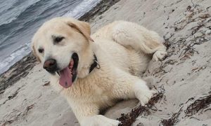 f1e31a75-0b15-431d-929c-95491ea46525